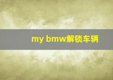 my bmw解锁车辆